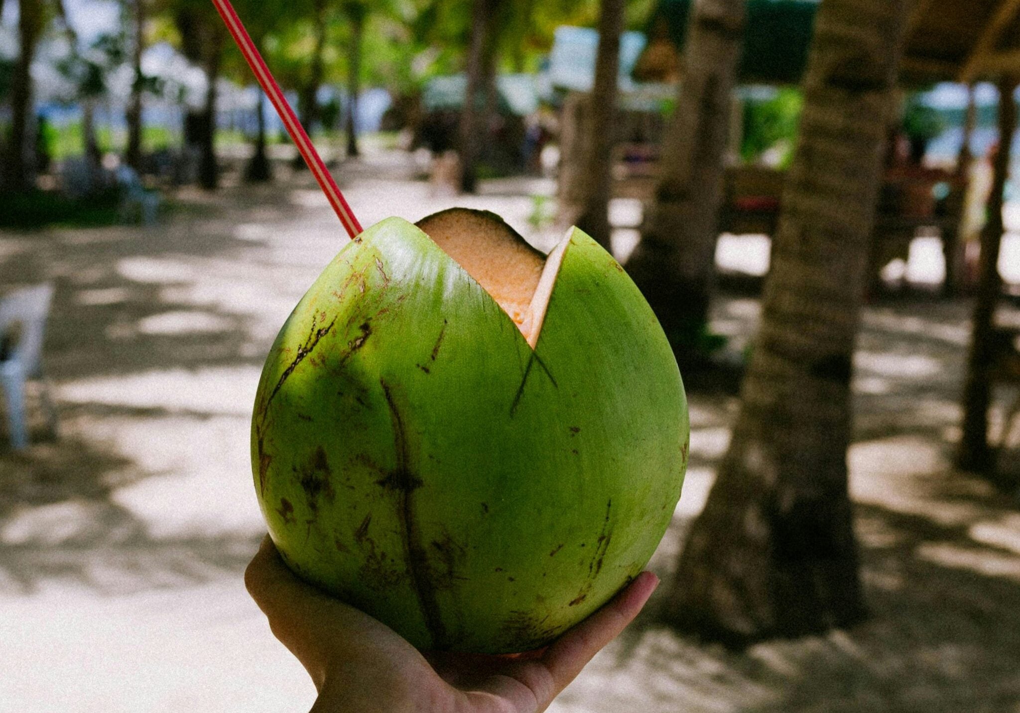 dileep-raloti-tiZogQyk0BI-unsplash